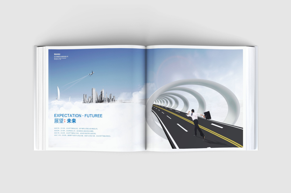 霍城县画册设计